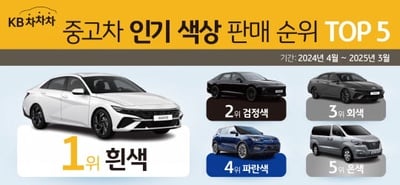 “흰색 차량 인기 견조”…아반떼·그랜저, 색상별 중고차 시장판도→가격 프리미엄 부상