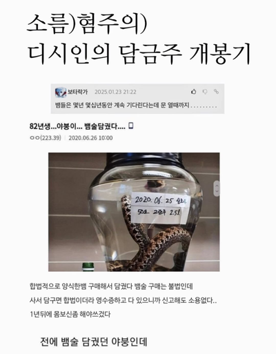 디시인의 담금주 개봉기 (+혐주의)