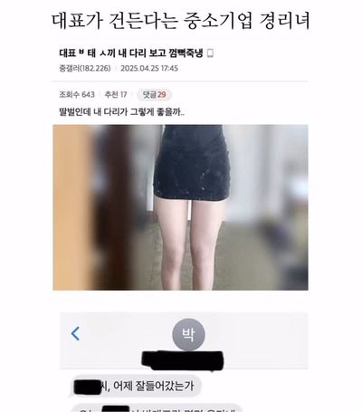 대표가 건든다는 중소기업 경리녀