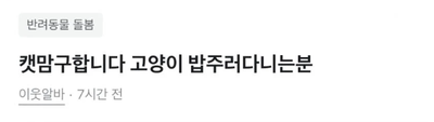 하다하다 이젠 캣맘도 구하는 당근마켓 ㄷㄷㄷㄷ