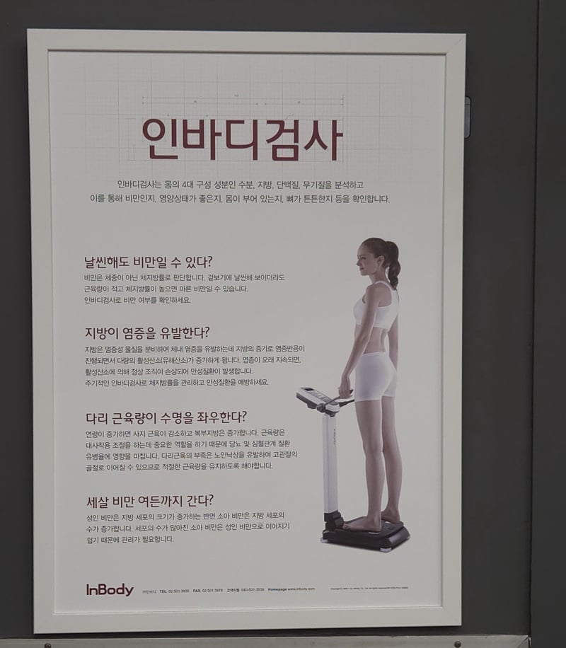 ▲ 이청강기자 제공