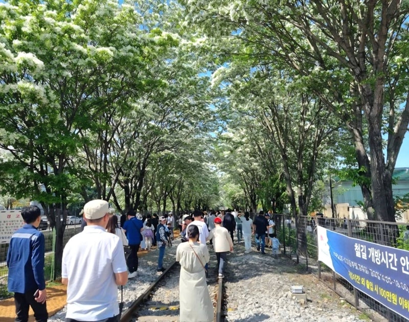 ▲ 전주시제공