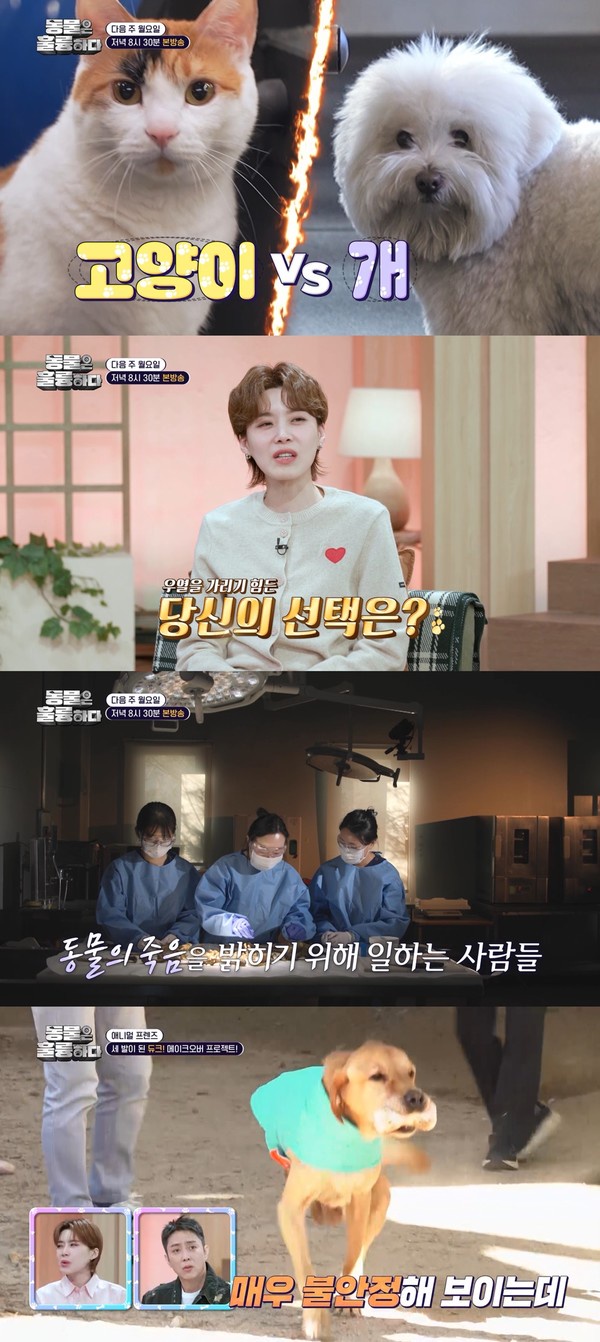 [사진 = KBS 제공] 